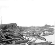 Historic photo of logs in the boom in front of the mill.; Village of Rexton