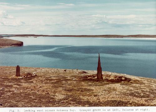 Balaena Bay, 1978