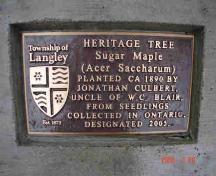 View of the Blair Sugar Maple Tree marker; Township of Langley, 2006