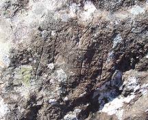 Inscriptions on eastern side of Rock with 17th and 18th Century Graffiti, Kingman's Cove, Fermeuse, NL. Photo taken May 2006.; HFNL/Andrea O'Brien 2006