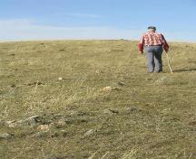 Looking along a line of fieldstones that forms the south spoke of the medicine wheel, 2004.; Government of Saskatchewan, Marvin Thomas, 2004.