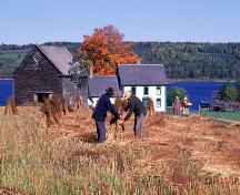 Kings Landing Historical Settlement - haymaking; Province of New Brunswick - image 548