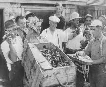Association des Pêcheurs de Bas-Cap-Pelé Lobster Plant - A groupe of lobster fishermen, c1950; Village of Cap-Pelé