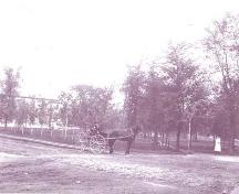 Elm Park at corner of Wellington and Henderson Streets, circa 1890's.; Contributed photo (private with permission)