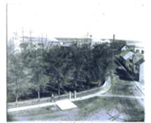Place publique de l'ancien village de Newcastle, vue sud vers le port, vers 1900.; Provincial Archives of New Brunswick P6-227