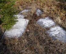 Grave markers for Isaac and Lucinda Chandler, early settlers in Greenville, in the African Bethel Cemetery, Greenville, Yarmouth, NS, 2008.; Heritage Division, NS Dept. of Tourism, Culture and Heritage, 2008