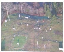An aerial view of the Free Will Baptist Cemetery, Beaver River, Municipality of the District of Yarmouth, NS, 2006.  Note the outline of the church foundation in the left foreground.; Old Beaver River/ Port Maitland Cemeteries Preservation Society, 2006