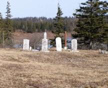 A row of headstones in the Free Will Baptist Cemetery, Beaver River, Yarmouth County, NS, 2008.; Heritage Division, NS Dept. of Tourism, Culture and Heritage, 2008