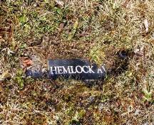 Hemlock Avenue marker in the Tusket Lakes Cemetery, Gavelton, Yarmouth County, NS, 2008.; Heritage Division, NS Dept. of Tourism, Culture and Heritage, 2008