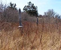 Other monuments in an area yet to be cleared in the Calvinist Baptist Cemetery, Port Maitland, Yarmouth County, NS, 2008.; Heritage Division, NS Dept. of Tourism, Culture and Heritage, 2008