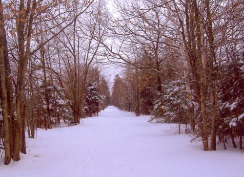 Showing lane in winter
