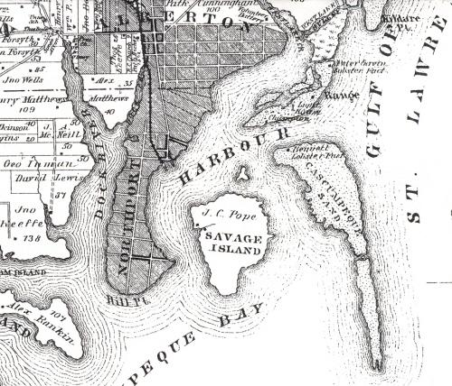 Showing island labelled as Savage Island, 1880
