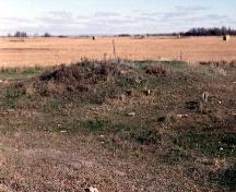 Vue du lieu historique national du Canada des Monticules-Linéaires, qui montre les lignes ininterrompues de buttes linéaires et de prairies, 1996.; Agence Parcs Canada / Parks Canada Agency, 1996.