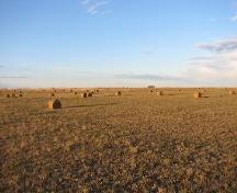 View north across site area, currently a hay field, 2007.; Government of Saskatchewan, Marvin Thomas, 2007.