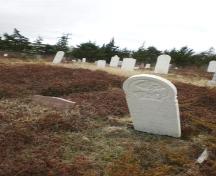 Photo of Second Anglican Cemetery, Arnold's Cove, NL, 2008; Courtesy of Iris Brett, 2008
