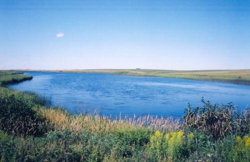 Overview of Campbell&#039;s Pond