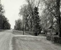 General view of Neubergthal Street Village, showing the single street providing the central orienting spine of the village defined by a straight row of planted trees and fencing.; Parks Canada Agency / Agence Parcs Canada.