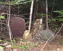 Photo of two headstones at Shoal Harbour Methodist Cemetery, Shoal Harbour, Clarenville, NL, circa 2007. ; Clarenville Heritage Society Inc. 2008