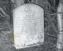 Photo of John and Elizabeth Tilley headstone at Shoal Harbour Methodist Cemetery, Shoal Harbour, Clarenville, NL, circa 2007. ; Clarenville Heritage Society Inc. 2008