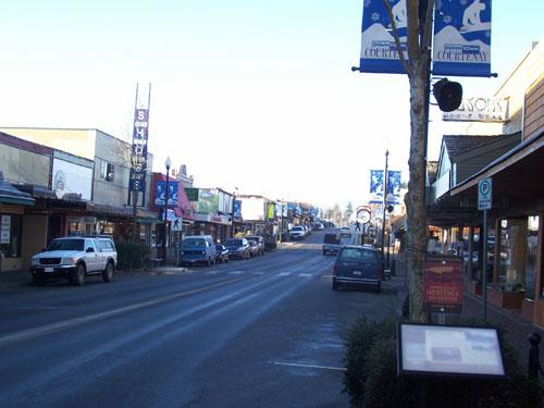 General view of commercial district, 2009