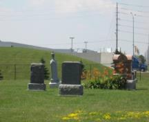 Featured are the individual gravestones.; Beatrice Tam, 2008.