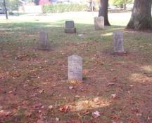 Featured are the individual grave markers; Martha Fallis, 2008.
