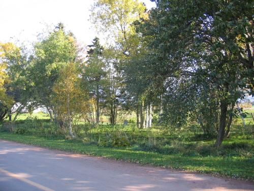 Showing cemetery amid trees near roadway