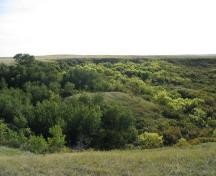 View of the site location on a terrace just below and to the right of the highest tree at the left of the photo, 2004.; Government of Saskatchewan, Marvin Thomas, 2004.