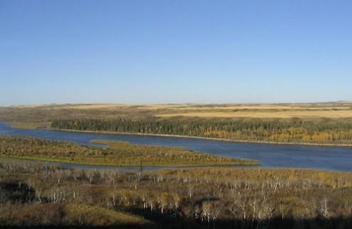 Pine Island in the North Saskatchewan River