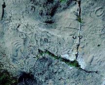 Close-up view of some of the precontact rock carvings, 1982.; Government of Saskatchewan, 1982.
