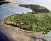 Vue aérienne de la pointe ouest de l'île Grassy.; Parks Canada Agency / Agence Parcs Canada.