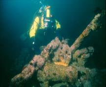 Fanny Shipwreck; Underwater Archaeological Society of British Columbia, 2007