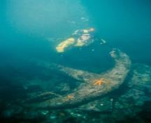 Fanny Shipwreck; Underwater Archaeological Society of British Columbia, 2007