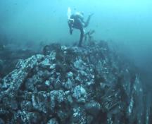 Lord Western Shipwreck; Underwater Archaeological Society of British Columbia, 2007