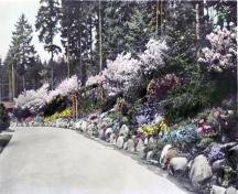 Stanley Park Rock Garden; City of Vancouver