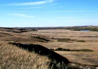 Vue générale de Treaty Flats à Blackfoot Crossing