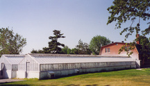 Vue de l'arrière du bâtiment des récoltes céréalières, qui montre les petites serres simplement construites, 1995.; Parks Canada Agency / Agence Parcs Canada, 1995.