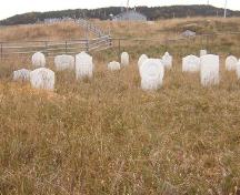 Exterior view of Old Anglican Cemetery, Cow Head, NL.; HFNL 2005