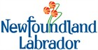 NFLD