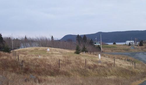 The Old Cemetery, Renews, NL