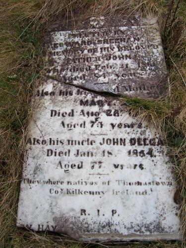 The Old Cemetery, Renews, NL
