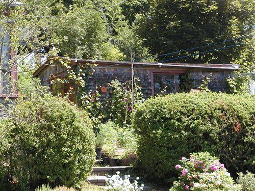 Shed Front Elevation