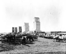 Grain Elevators, Castor (1935); Glenbow Archives, NA-1387-2