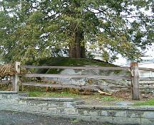 View of Rock Tree, 2004; City of Surrey