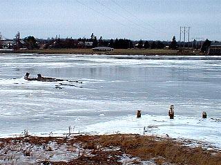 Burns Mill Site, 2005