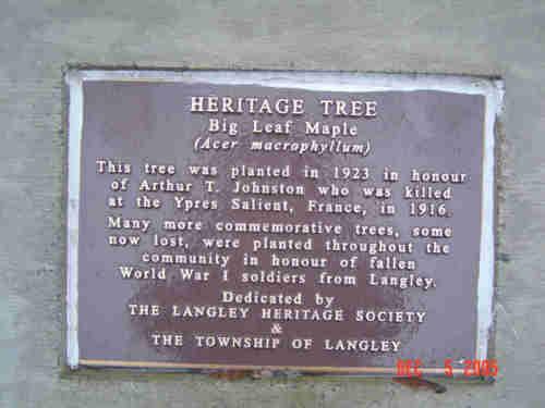 Plaque for the Johnston Memorial Maple Tree