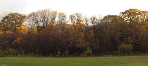 Royalty Oaks Natural Area