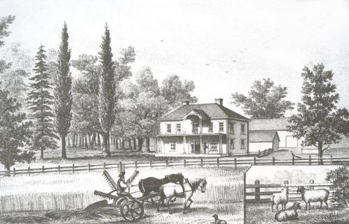 Detail of Belmont Farm