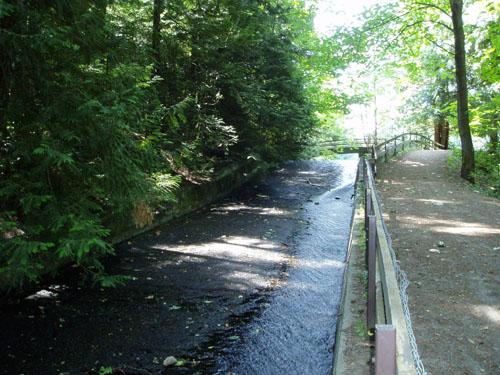 Looking East along Colliery Dam spillway