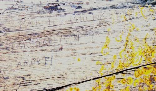 Rock with 19th Century Graffiti Carvings
